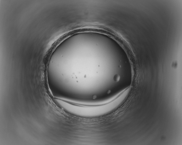 X0000115801360200911271241