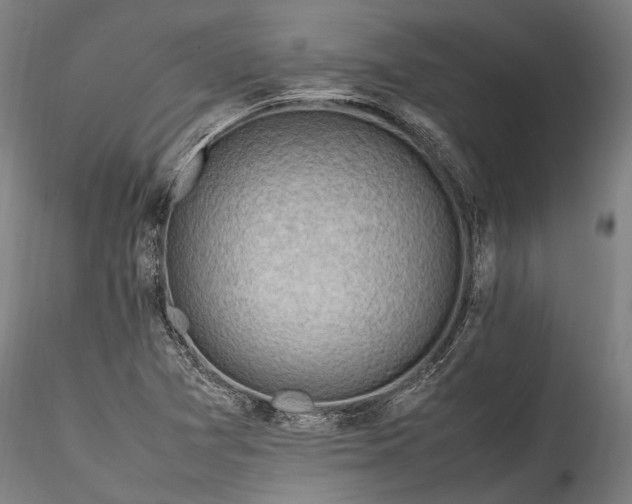 X0000115801361200911271241