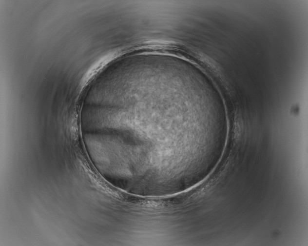 X0000115801362200911271241