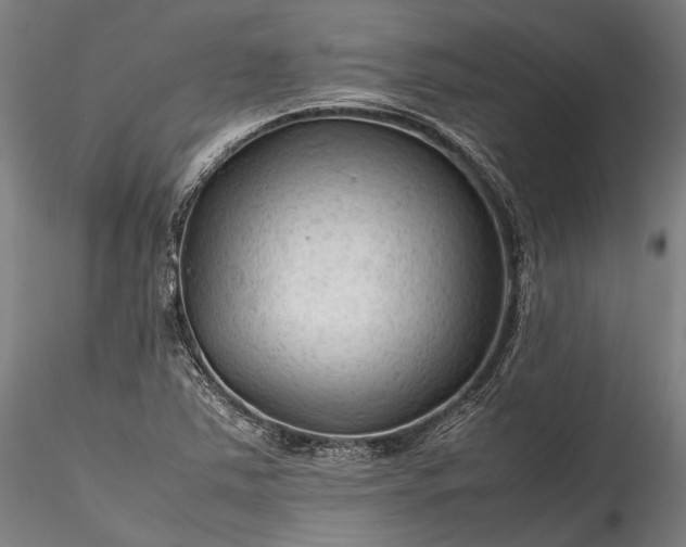 X0000115801363200911271241