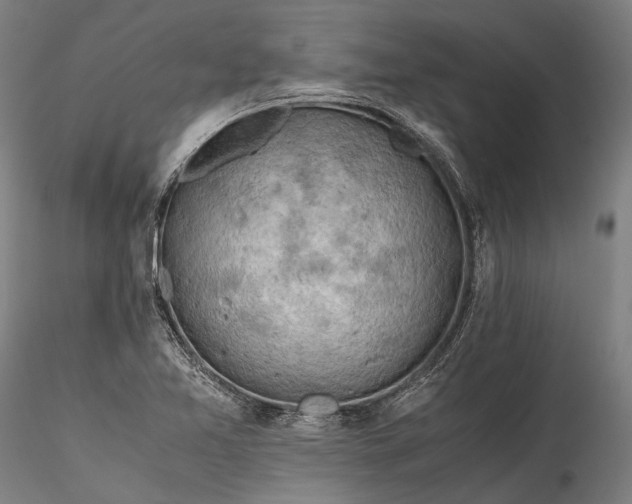 X0000115801365200911271240