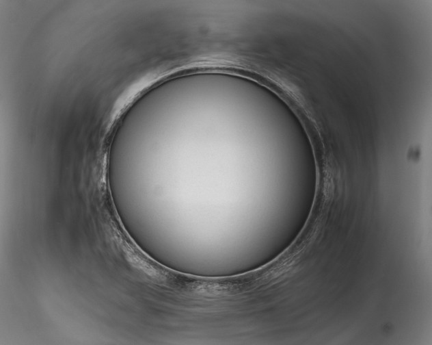X0000115801366200911271240