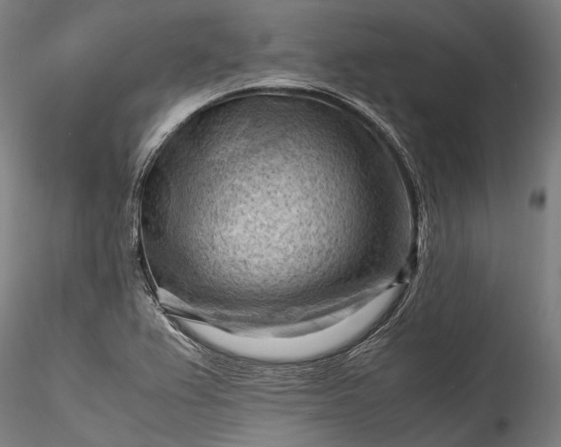 X0000115801367200911271240