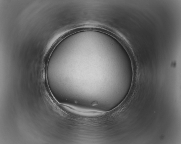 X0000115801368200911271240