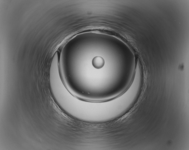 X0000115801369200911271240
