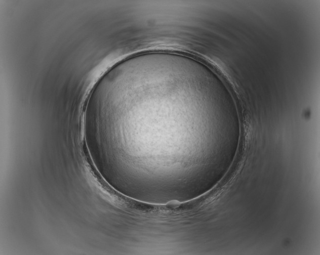 X0000115801371200911271240