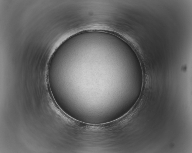 X0000115801374200911271240