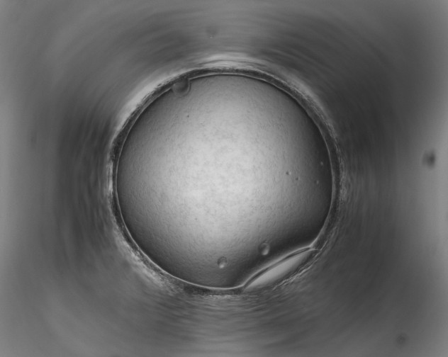 X0000115801376200911271240