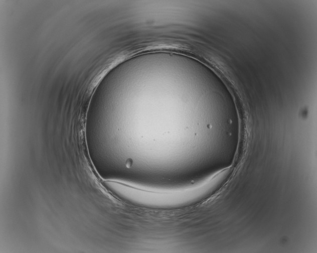 X0000115801377200911271240