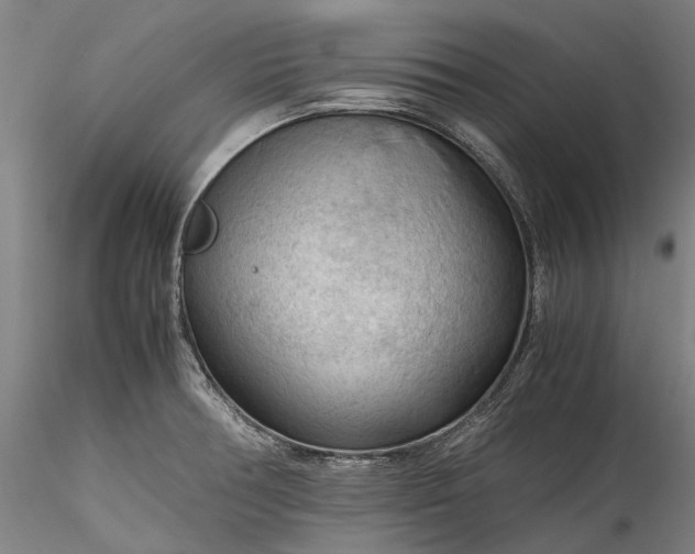 X0000115801378200911271240