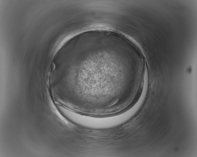 X0000115801383200911271240