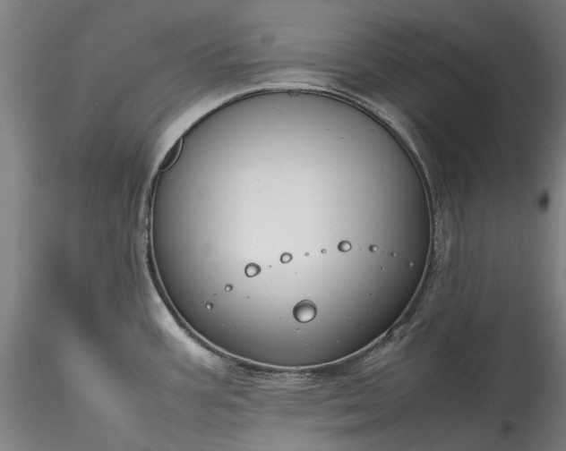 X0000115801387200911271240