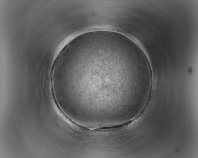 X0000115801389200911271240