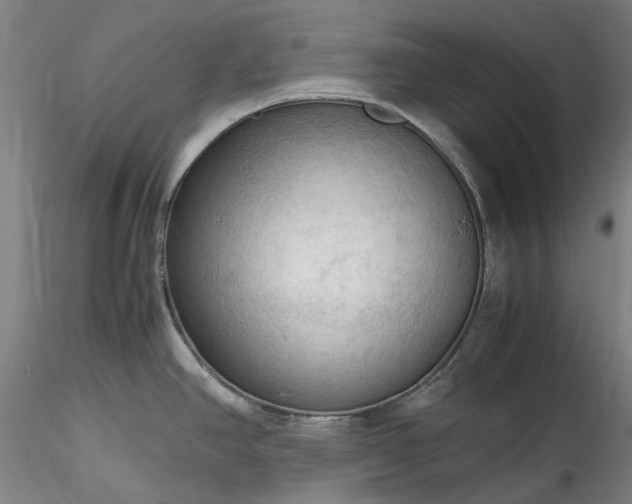 X0000115801390200911271240