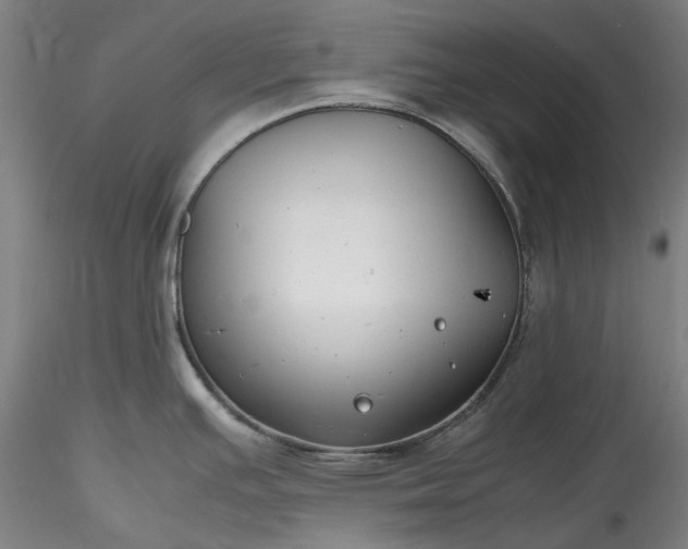 X0000115801391200911271240