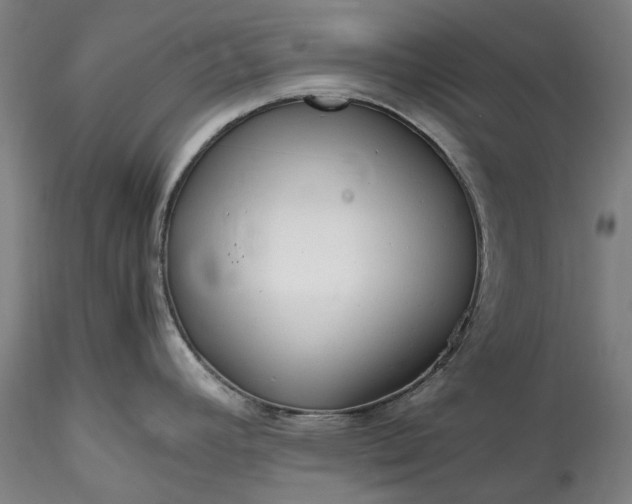 X0000115801392200911271240