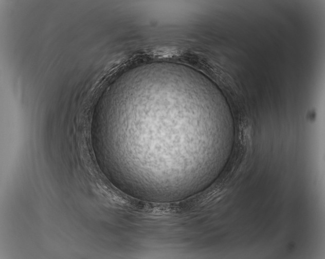 X0000115801393200911271239
