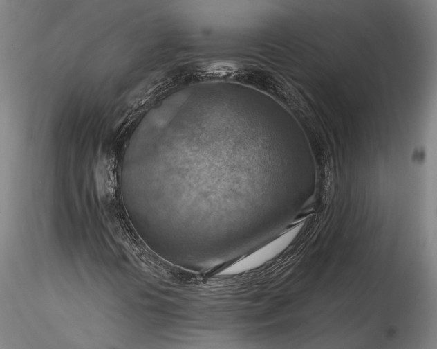 X0000115801394200911271239