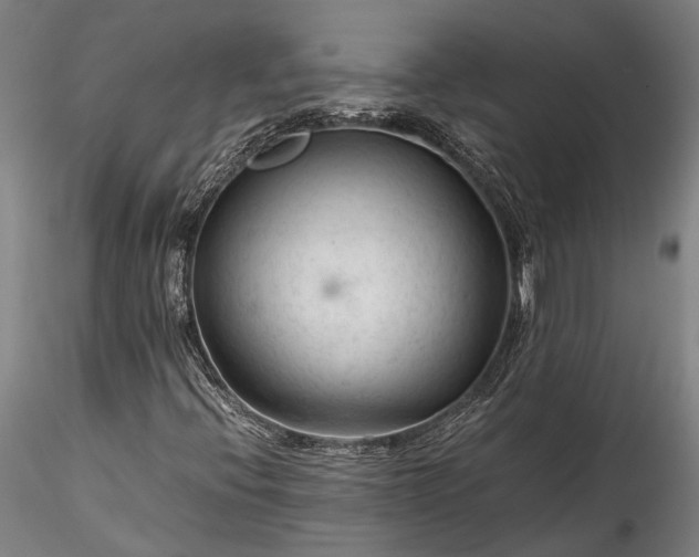 X0000115801396200911271239