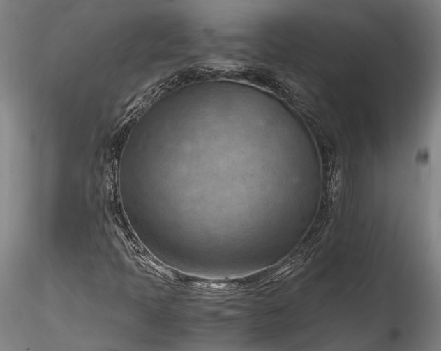 X0000115801397200911271239