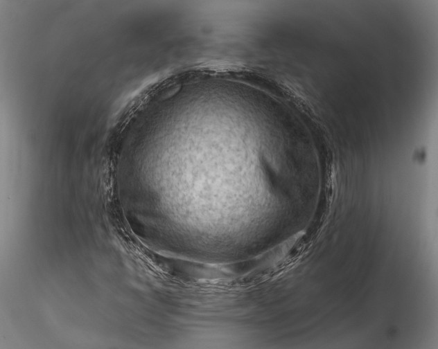 X0000115801398200911271239