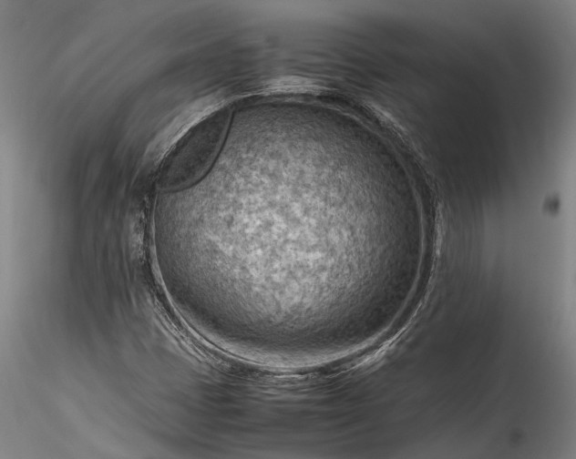 X0000115801401200911271239