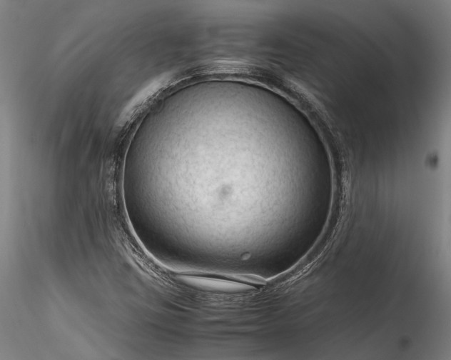 X0000115801403200911271240
