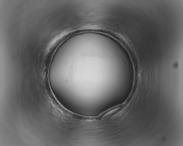 X0000115801406200911271240