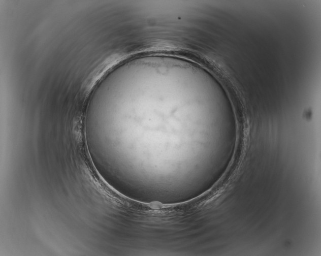 X0000115801409200911271240