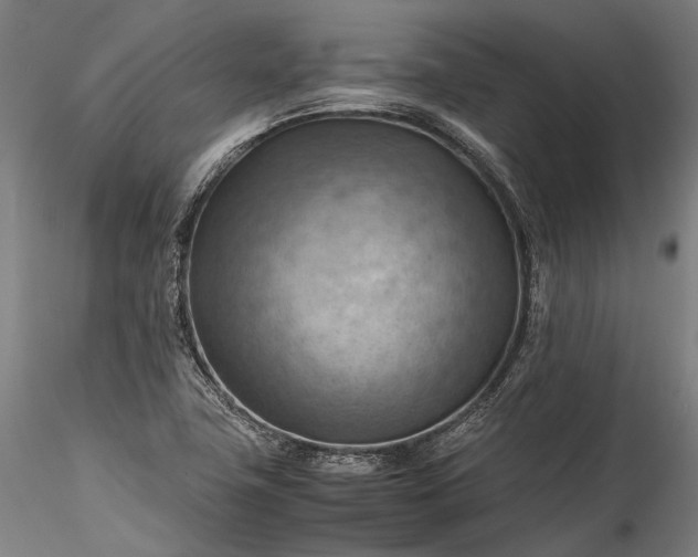 X0000115801411200911271240