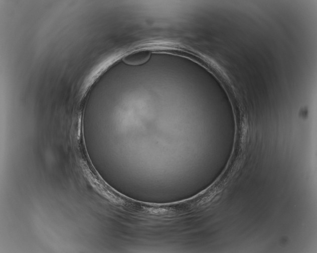 X0000115801413200911271240