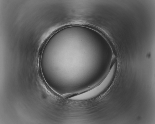 X0000115801414200911271240