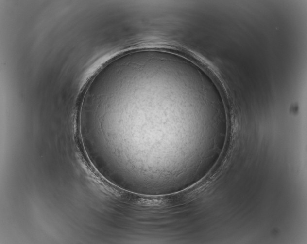X0000115801415200911271240