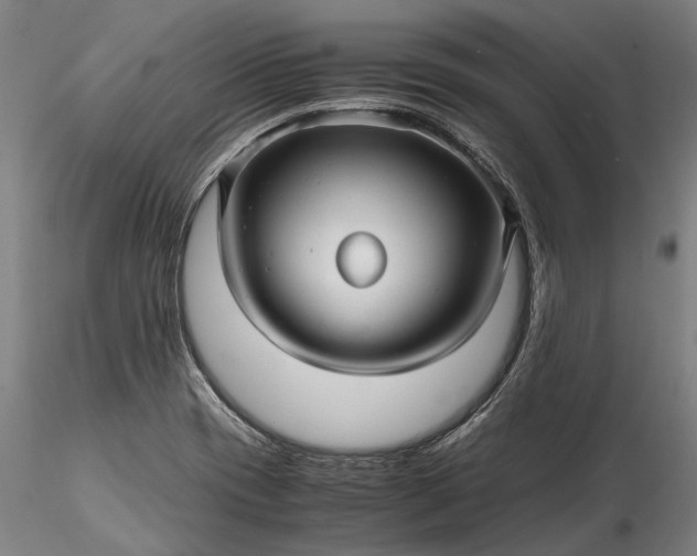 X0000115801417200911271240