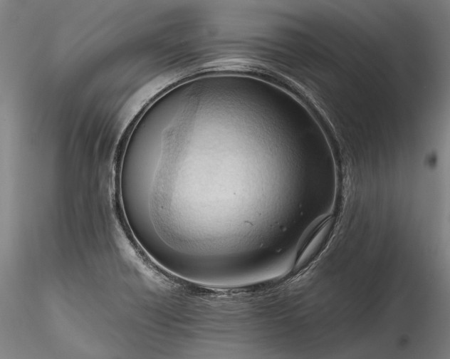 X0000115801418200911271240