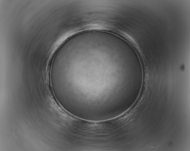 X0000115801419200911271240