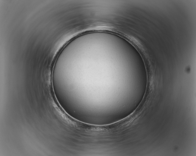 X0000115801420200911271240