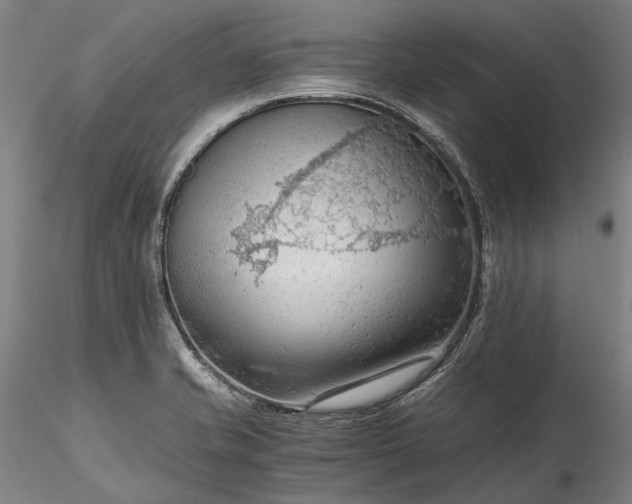 X0000115801421200911271240