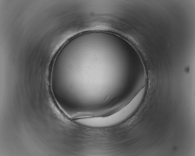 X0000115801422200911271240