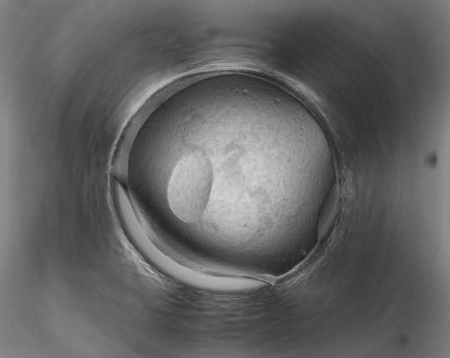X0000115801423200911271240