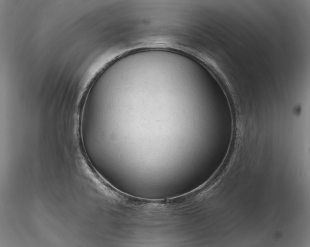 X0000115801424200911271240