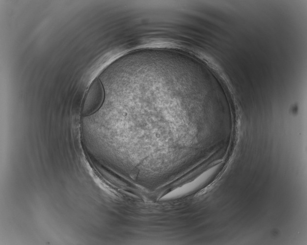 X0000115801425200911271240