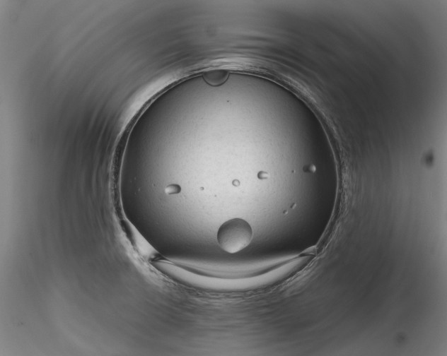 X0000115801426200911271240