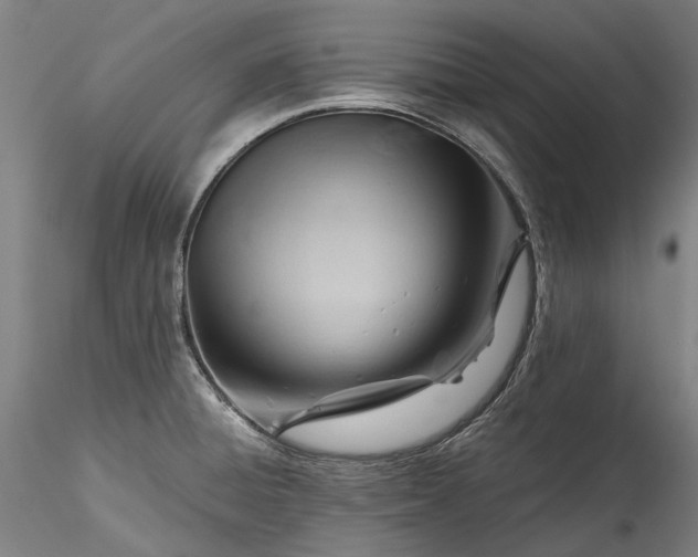 X0000115801428200911271240