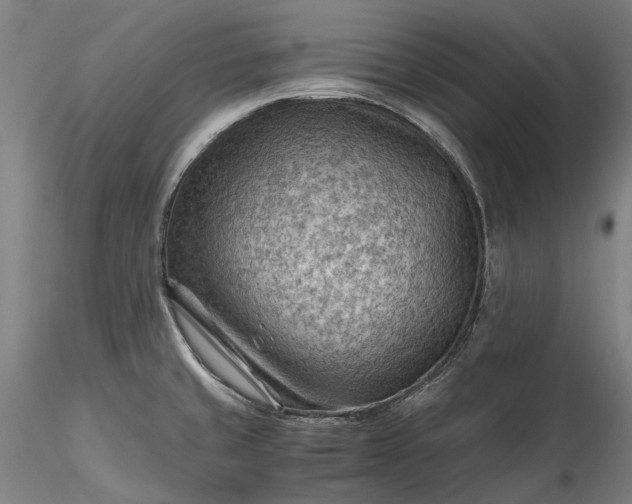 X0000115801429200911271240