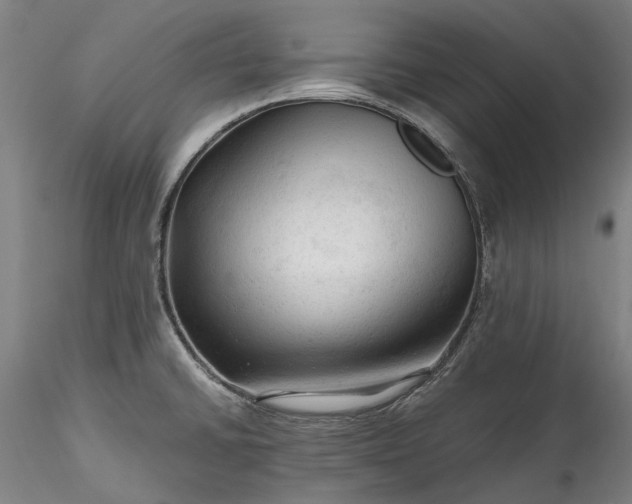 X0000115801430200911271240