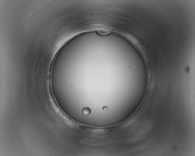 X0000115801431200911271240