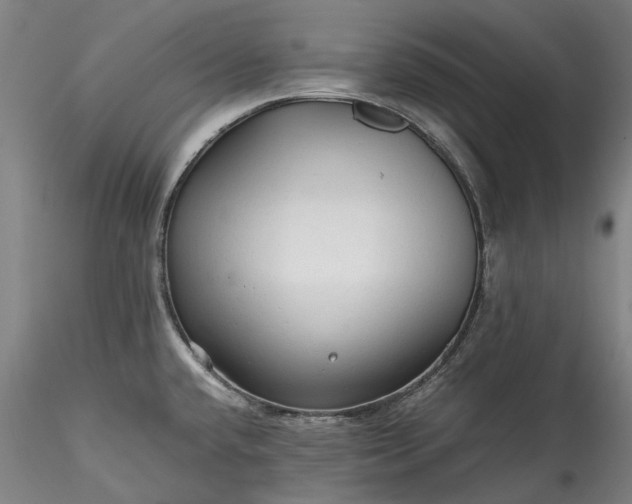 X0000115801432200911271240