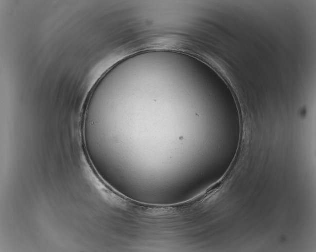 X0000115801434200911271240