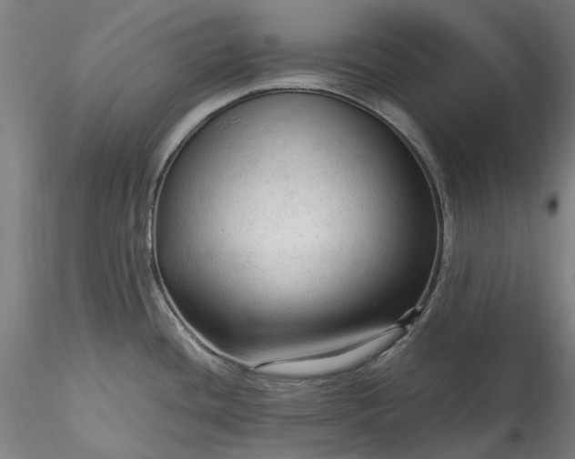 X0000115801436200911271240